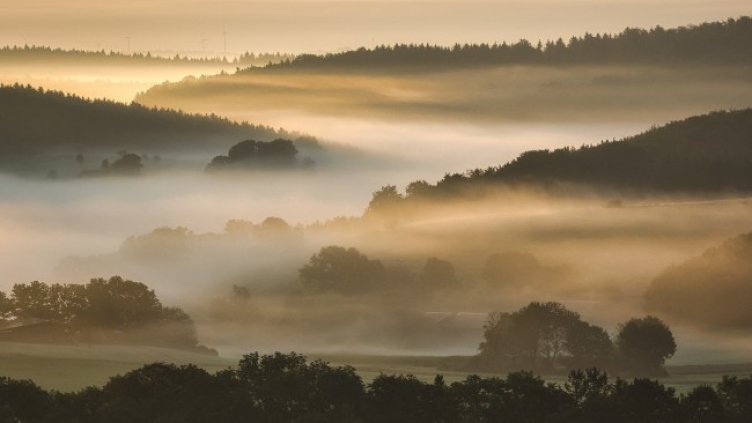 Снимка: Pixabay