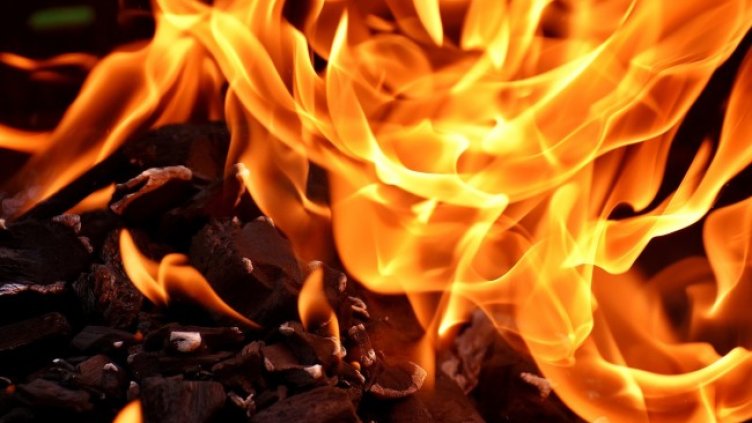 Снимка: Pixabay