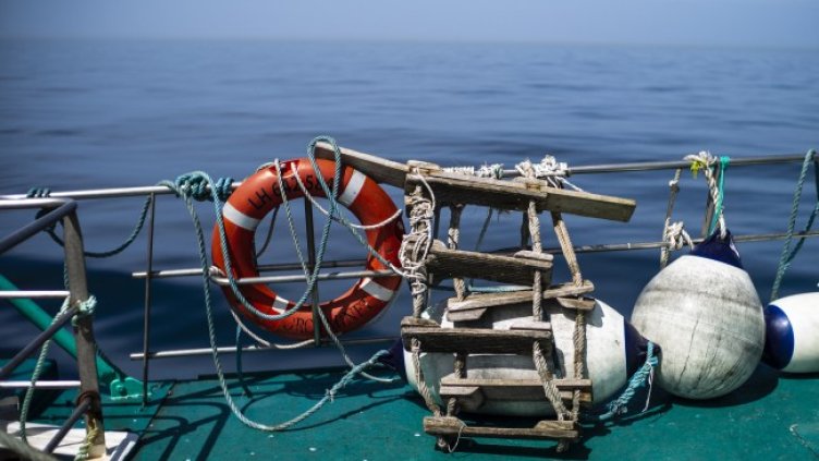 Снимка: архив, БГНЕС