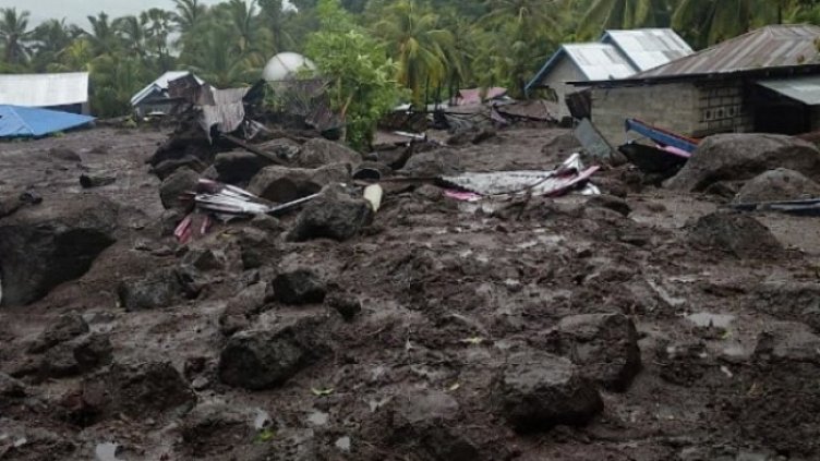 Снимка: БГНЕС, архив