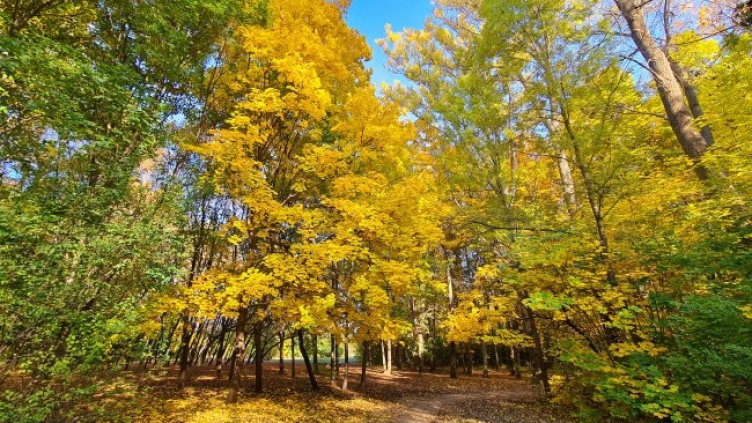 Снимка: архив, БГНЕС