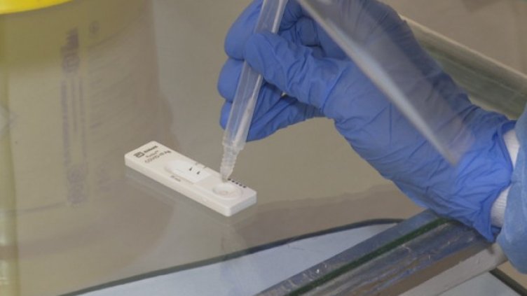 Снимка: БГНЕС