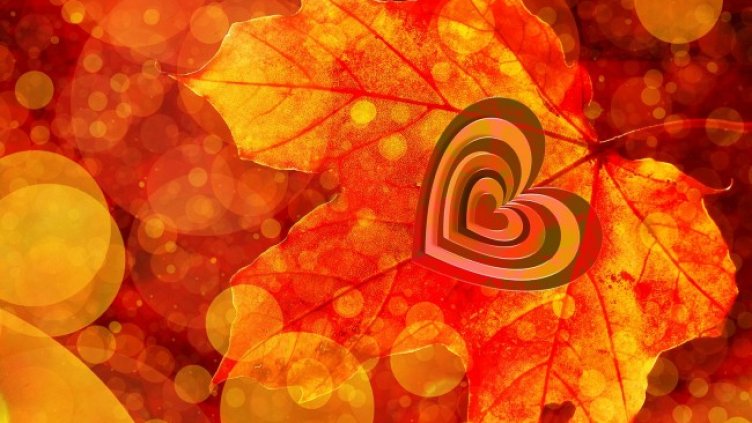 Снимка: Pixabay