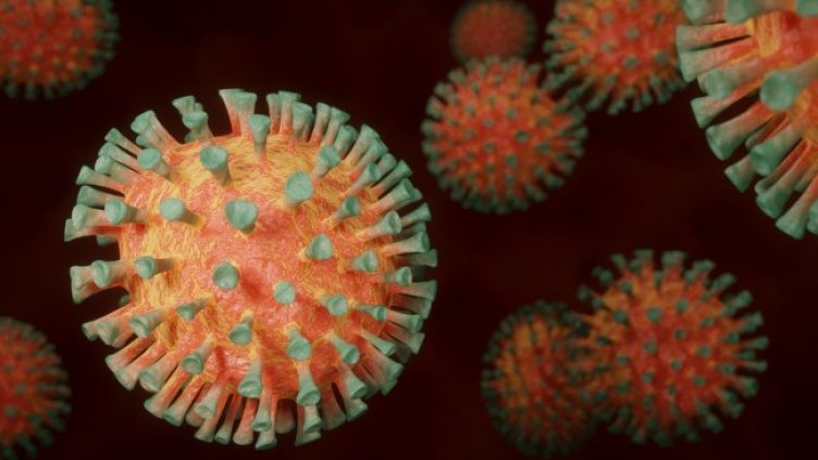 Снимка: Pixabay