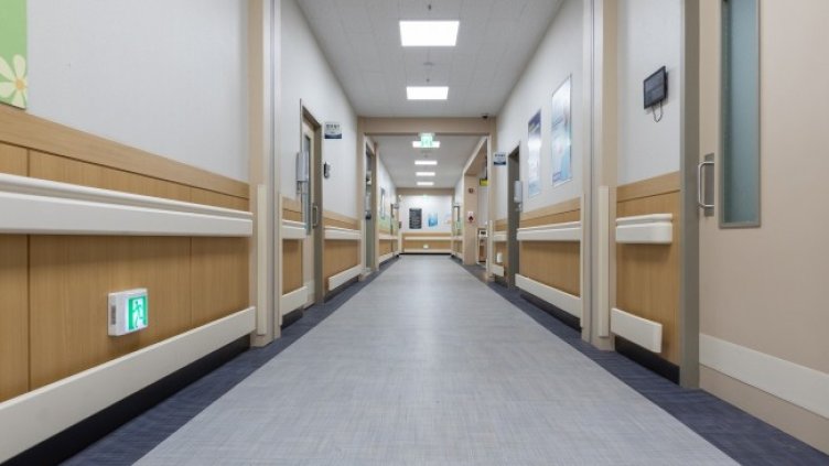 Снимка: Pixabay