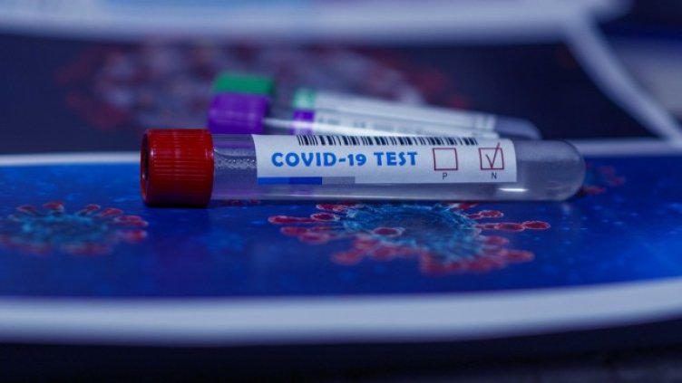 Снимка: Pixabay