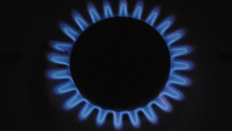 Снимка: Pixabay