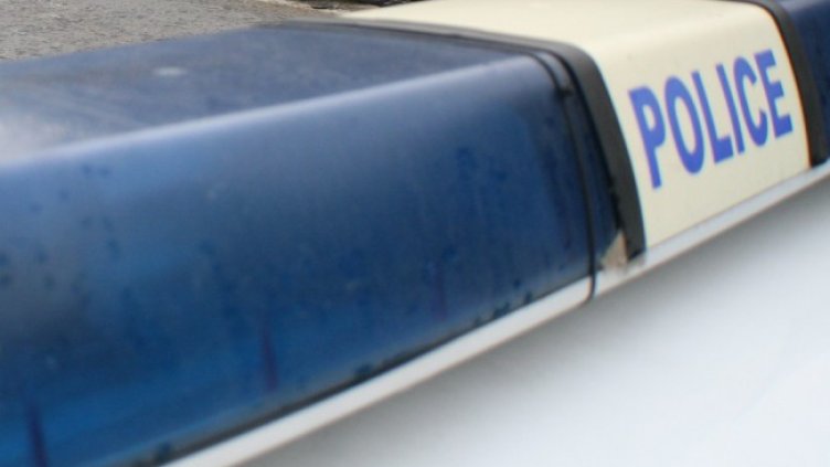 Снимка: архив, БГНЕС