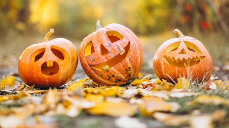 Снимка: Pixabay