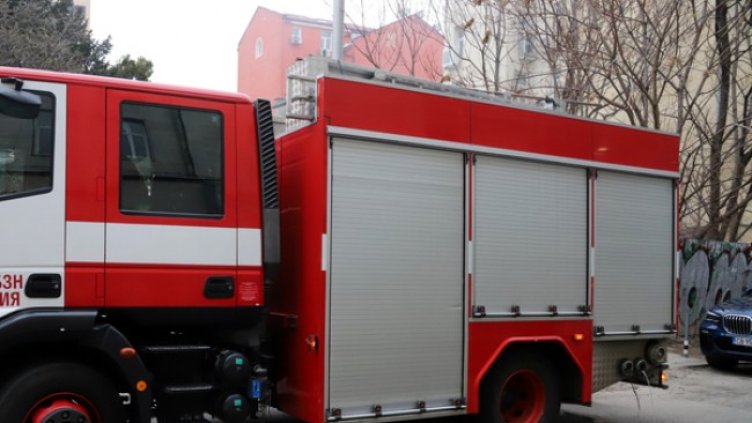 Снимка: БГНЕС