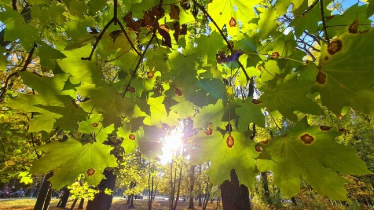 Снимка: БГНЕС