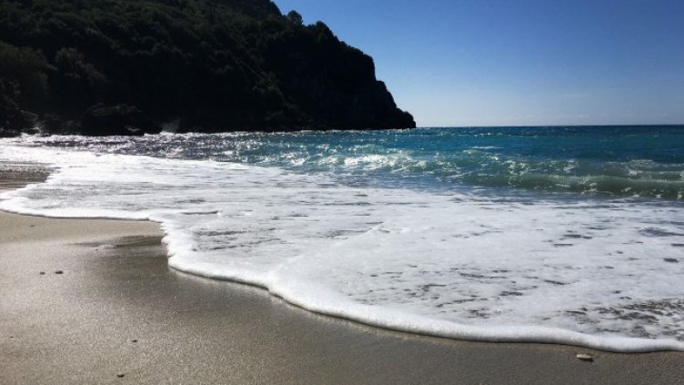 Снимка: архив, БГНЕС