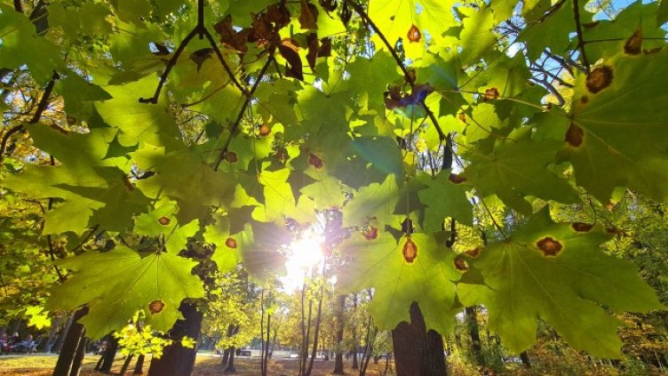 Снимка: БГНЕС