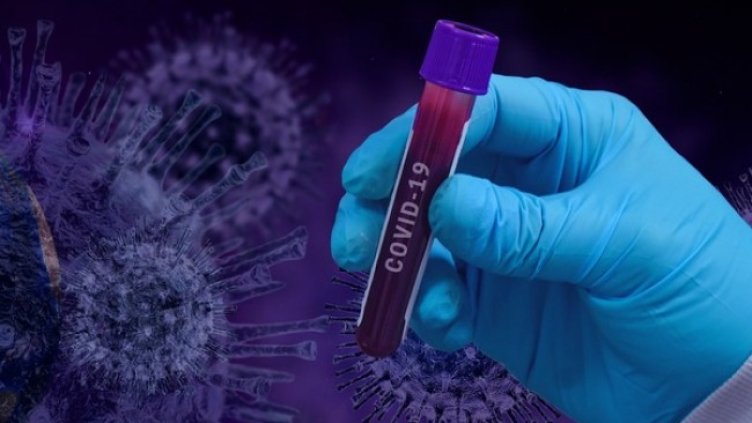 Снимка: Pixabay