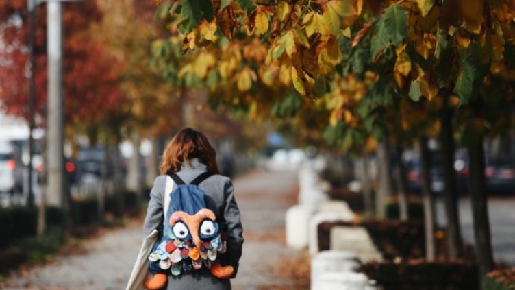 Снимка: архив, БГНЕС