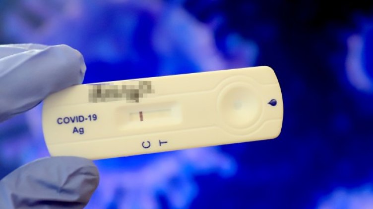 Снимка: архив, БГНЕС