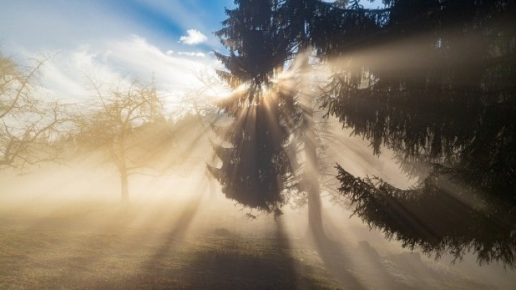 Снимка: Pixabay