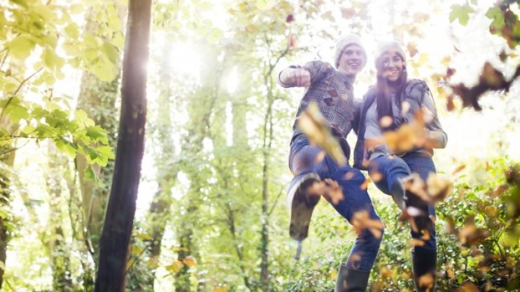 Снимка: Pixabay