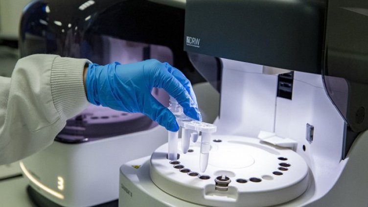 Снимка: архив, БГНЕС