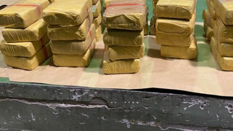 Снимка: БГНЕС, архив