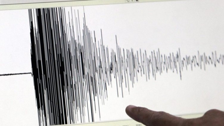 Снимка: архив, БГНЕС