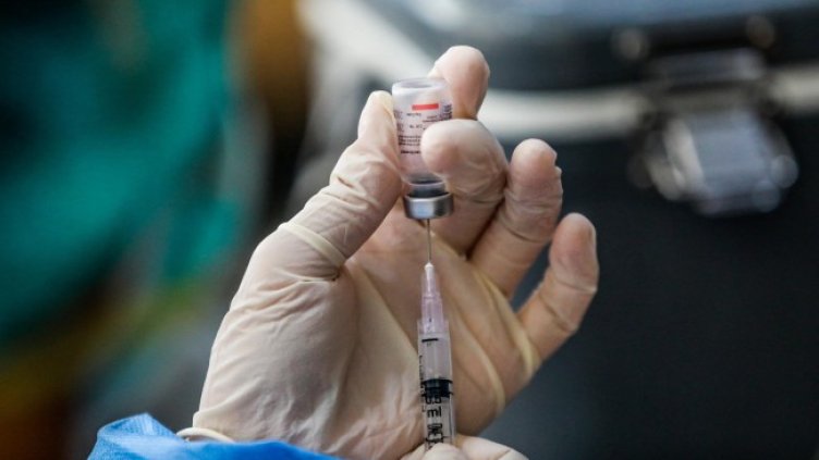 Снимка: архив, БГНЕС