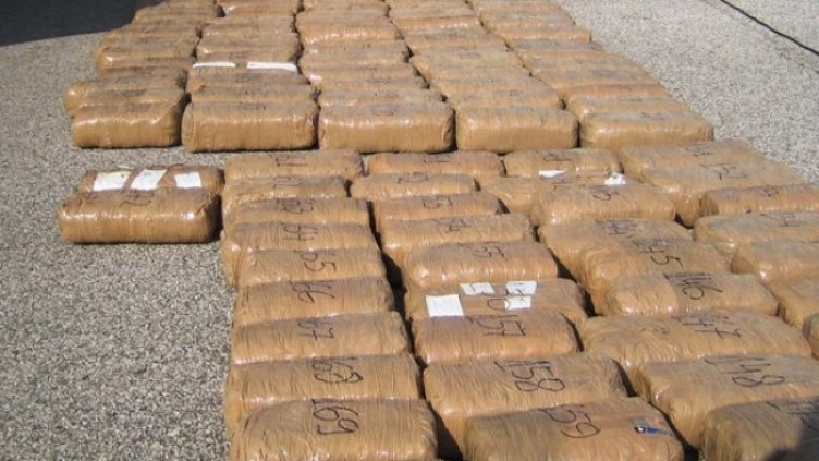 Снимка: БГНЕС, архив