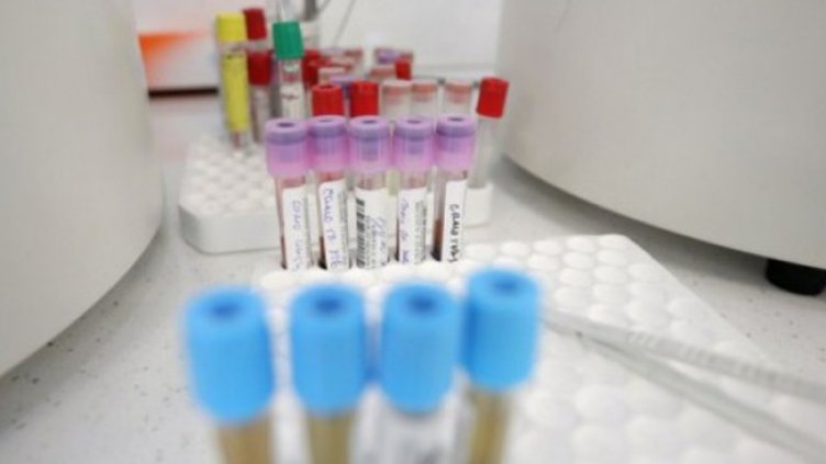 Снимка: Димитър Кьосемарлиев