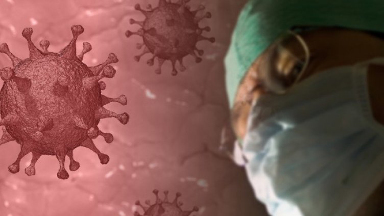 Снимка: Pixabay