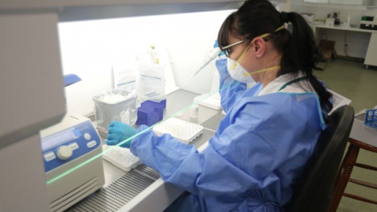 Снимка: Димитър Кьосемарлиев, Dnes.bg