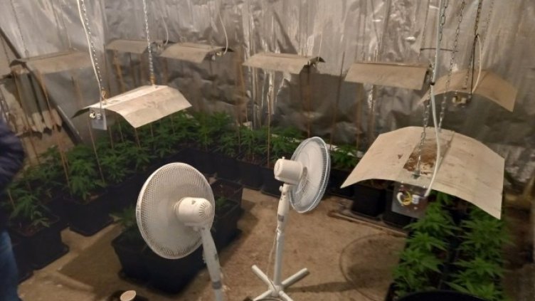 Снимка: МВР