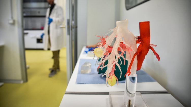 Снимка: архив, БГНЕС