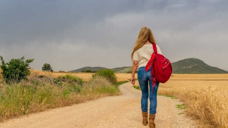 Снимка: Pixabay