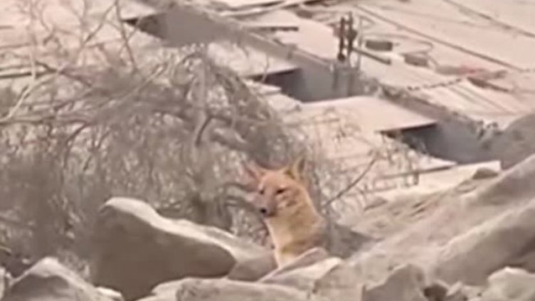 Снимка: Bulgaria ON AIR