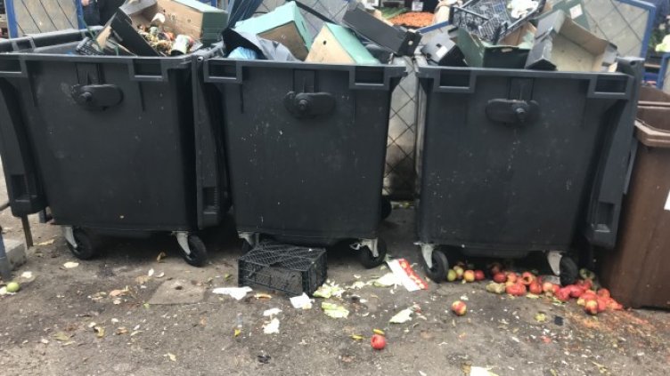 Снимка: Helpbook