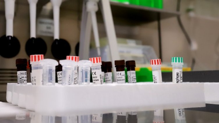 Снимка: архив, БГНЕС