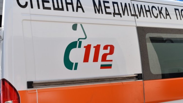 Снимка: архив, БГНЕС