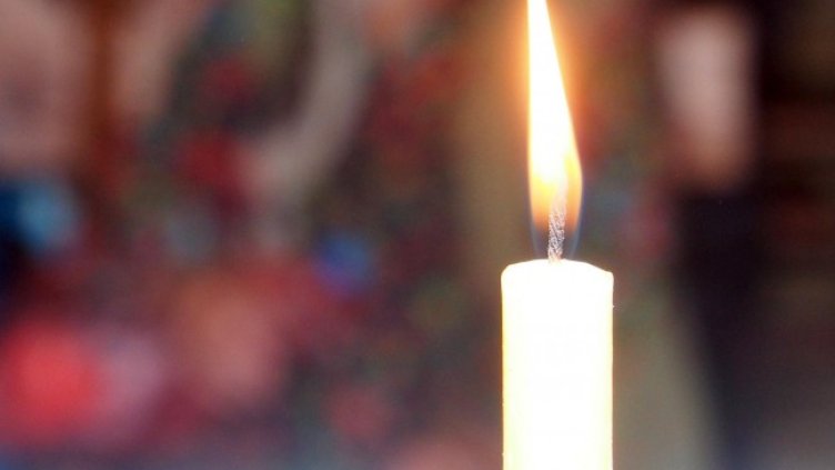 Снимка: архив, БГНЕС