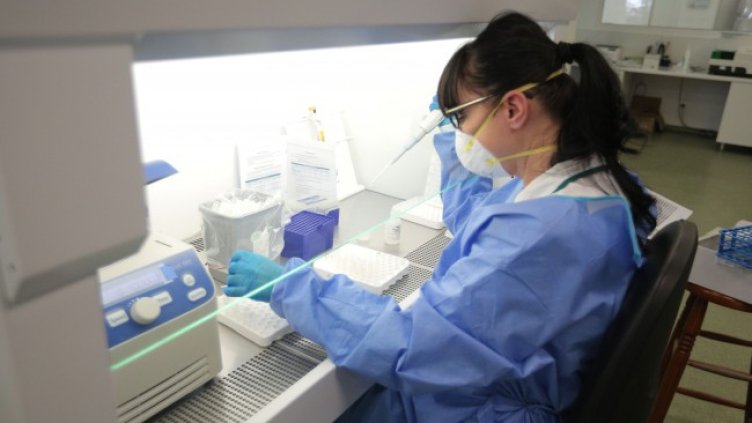 Снимка: Димитър Кьосемарлиев, Dnes.bg