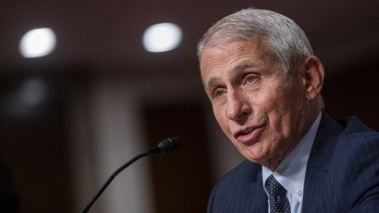 Снимка: архив, БГНЕС