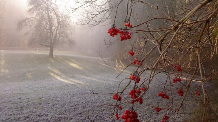 Снимка: Pixabay