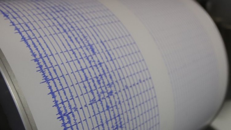 Снимка: архив, БГНЕС