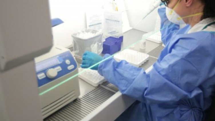 Снимка: Димитър Кьосемарлиев, Dnes.bg