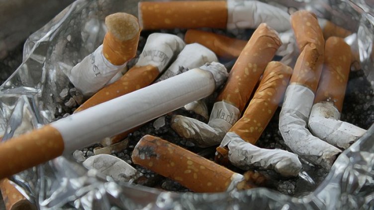 Снимка: Pixabay