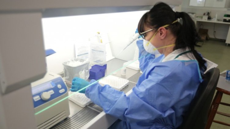 Снимка: Димитър Кьосемарлиев, Dnes.bg