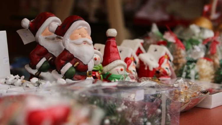 Снимка: архив, БГНЕС