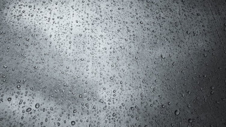 Снимка: Pixabay