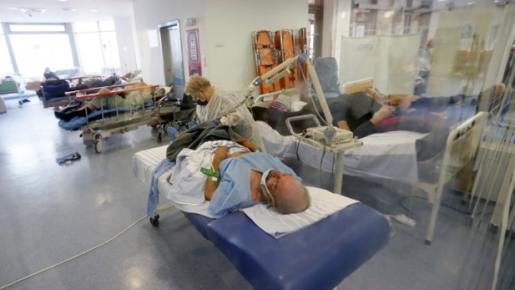 Снимка: БГНЕС