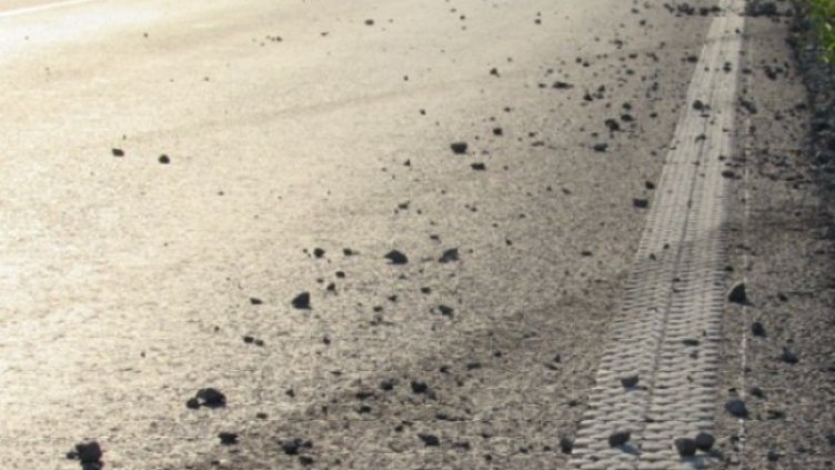 Снимка: архив, БГНЕС