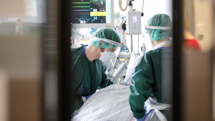 Снимка: БГНЕС